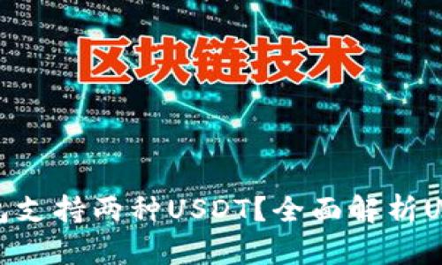 哪个主流钱包支持两种USDT？全面解析USDT钱包选择