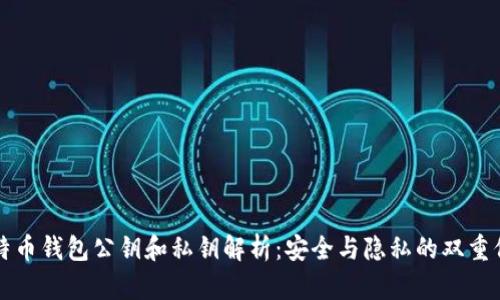 比特币钱包公钥和私钥解析：安全与隐私的双重保障