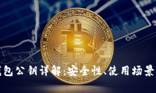 数字货币钱包公钥详解:安全性、使用场景及注意事项