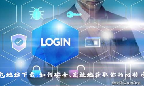 比特币钱包地址下载:如何安全、高效地获取你的比特币钱包地址