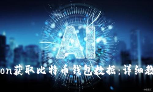 如何使用Python获取比特币钱包数据：详细教程与实用技巧