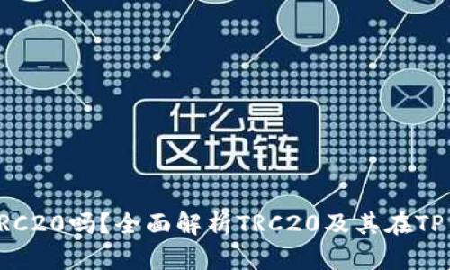 TP钱包支持TRC20吗?全面解析TRC20及其在TP钱包中的应用