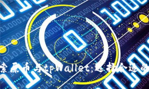 探索屎币与tpWallet：选择合适的链