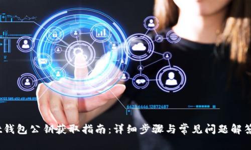 t钱包公钥获取指南:详细步骤与常见问题解答