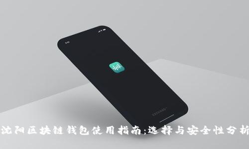 沈阳区块链钱包使用指南：选择与安全性分析