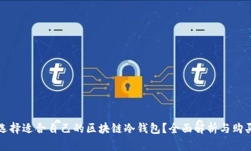 如何选择适合自己的区块链冷钱包？全面解析与购买指南