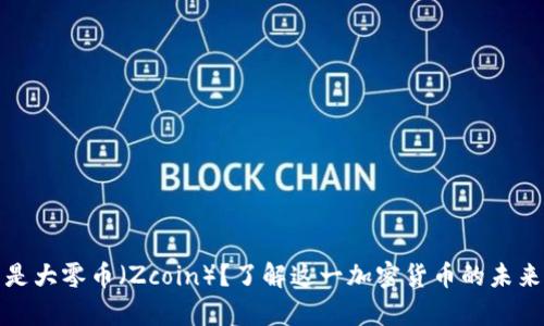 什么是大零币（Zcoin）？了解这一加密货币的未来前景