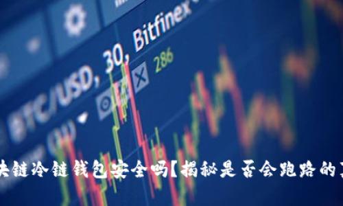 区块链冷链钱包安全吗?揭秘是否会跑路的真相