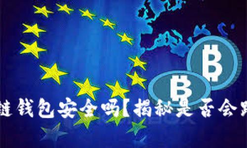 区块链冷链钱包安全吗?揭秘是否会跑路的真相