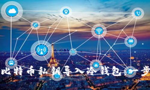 如何将比特币私钥导入冷钱包：一步步指南