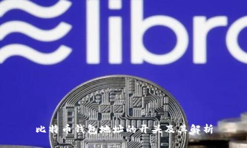 比特币钱包地址的开头及其解析