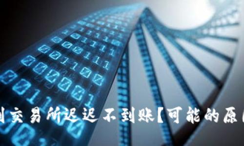 \
TP钱包转账到交易所迟迟不到账?可能的原因与解决方案
