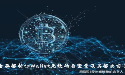 全面解析tpWallet无效的自变量及其解决方案