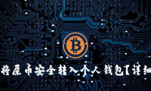 怎样将屎币安全转入个人钱包？详细指南
