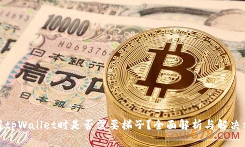 使用tpWallet时是否需要梯子？全面解析与解决方案