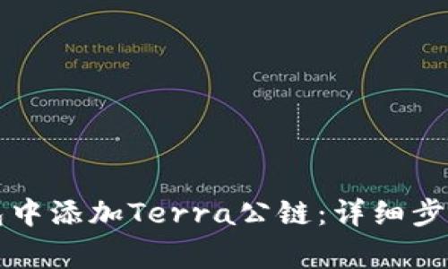 如何在TP钱包中添加Terra公链：详细步骤和注意事项