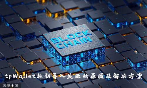 tpWallet私钥导入失败的原因及解决方案