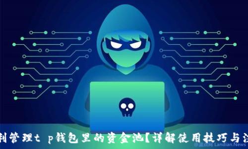 如何顺利管理t p钱包里的资金池?详解使用技巧与注意事项