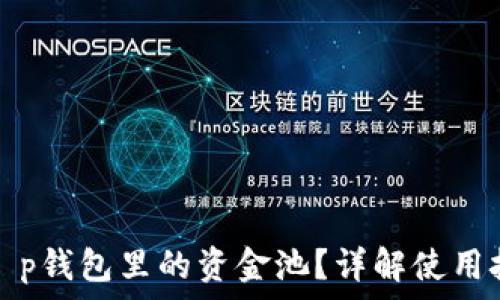 如何顺利管理t p钱包里的资金池?详解使用技巧与注意事项