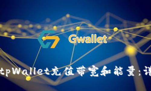 如何为tpWallet充值带宽和能量：详细指南