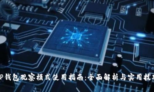 TP钱包观察模式使用指南：全面解析与实用技巧