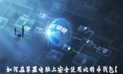 如何在苹果电脑上安全使用比特币钱包？