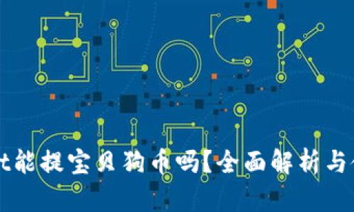 tpWallet能提宝贝狗币吗？全面解析与使用指南