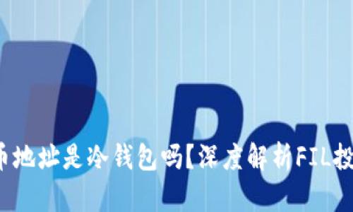 FIL十大持币地址是冷钱包吗？深度解析FIL投资与安全性