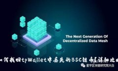 如何找回tpWallet中丢失的BSC链币？详细攻略