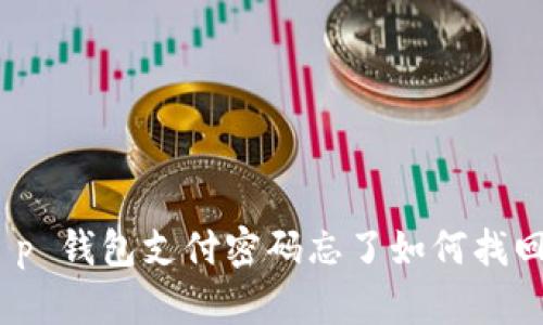 彻底解决：t p 钱包支付密码忘了如何找回的详细指南