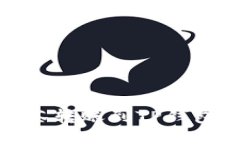 如何确保你的抹茶转账到TP钱包成功并避免丢失