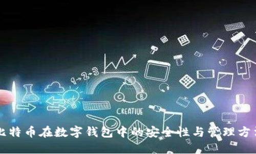 比特币在数字钱包中的安全性与管理方法