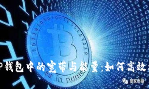 : 深入了解TP钱包中的宽带与能量：如何高效利用数字资产
