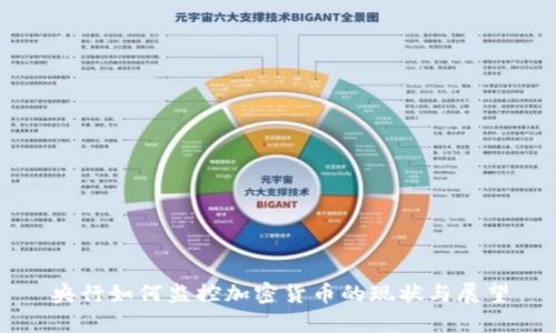 央行如何监控加密货币的现状与展望