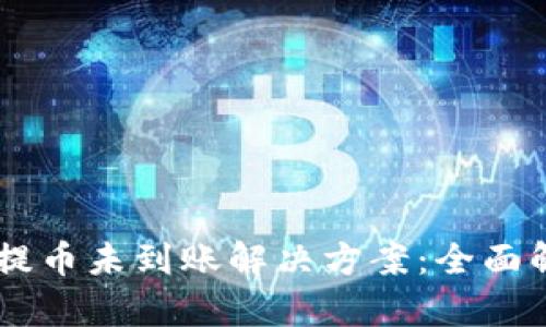 ## TP钱包提币未到账解决方案:全面解析处理步骤