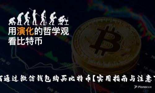如何通过微信钱包购买比特币?实用指南与注意事项