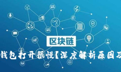 为什么TP钱包打开很慢?深度解析原因及解决方法