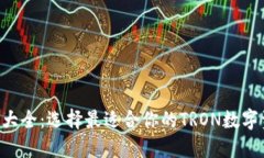 TRX钱包大全：选择最适合你的TRON数字资产钱包