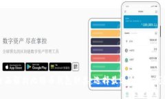 全面解析比特币钱包种类：选择最适合你的钱包