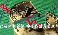 tpWallet的私钥详解：安全存储与管理的全攻略