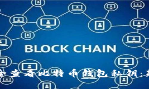 如何安全查看比特币钱包私钥:新手指南