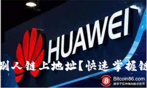 TP钱包如何查询别人链上地址?快速掌握链上地址查询技巧