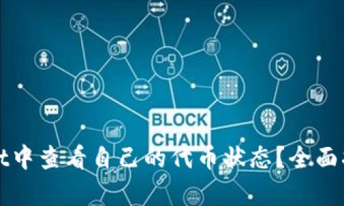 如何在tpWallet中查看自己的代币状态？全面指南与解决方案