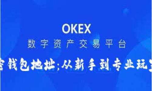 如何设置加密钱包地址：从新手到专业玩家的详细指南