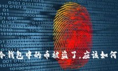 如果冷钱包中的币被盗了，应该如何应对？