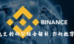 2023年TP钱包支持的公链全解析：你的数字资产最