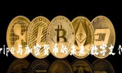 深入探索Stripe与加密货币的未来：数字支付的变