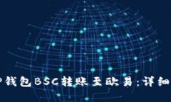 轻松实现TP钱包BSC转账至欧易：详细指南与技巧