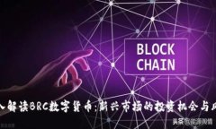深入解读BRC数字货币：新兴市场的投资机会与风