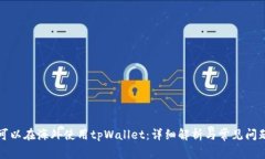是否可以在海外使用tpWallet：详细解析与常见问题